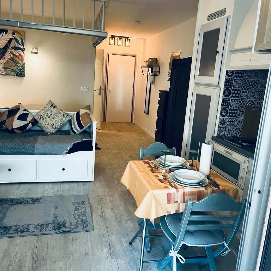 Studio Tout Confort, Parking Prive, Terrasse Et Plage Antibes France